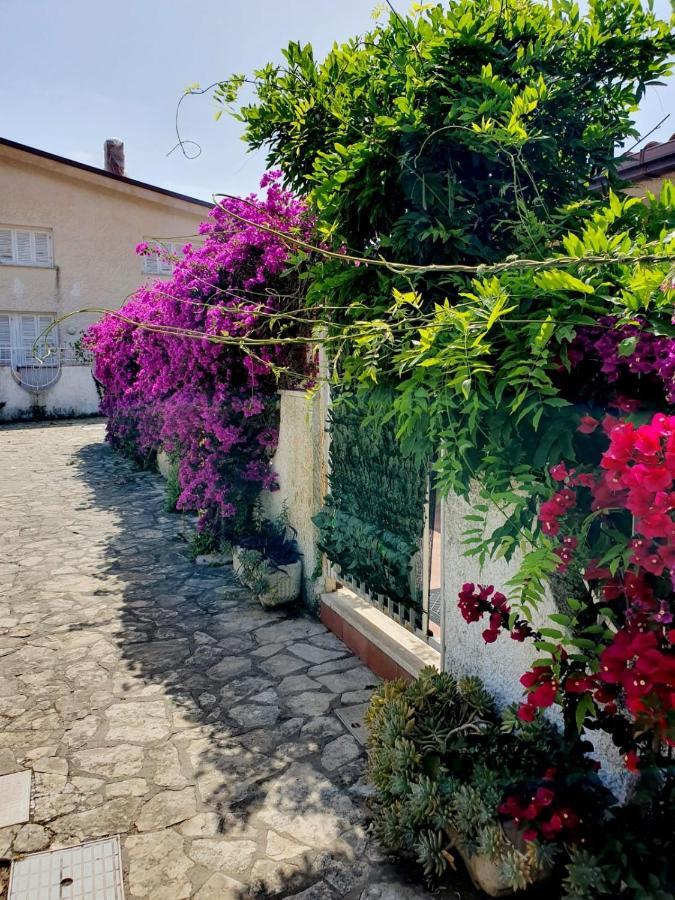 Casa Susy Bouganville 400 mt dal mare Sperlonga Esterno foto